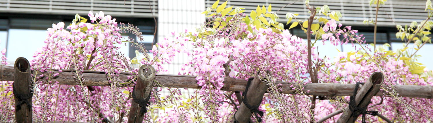 各種手続証明書について